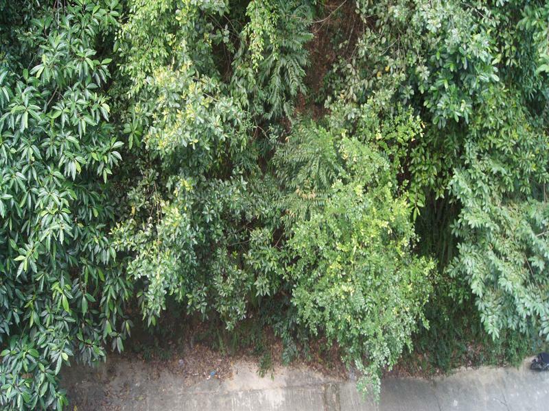 Hotel Hsiang Garden SDK Dış mekan fotoğraf