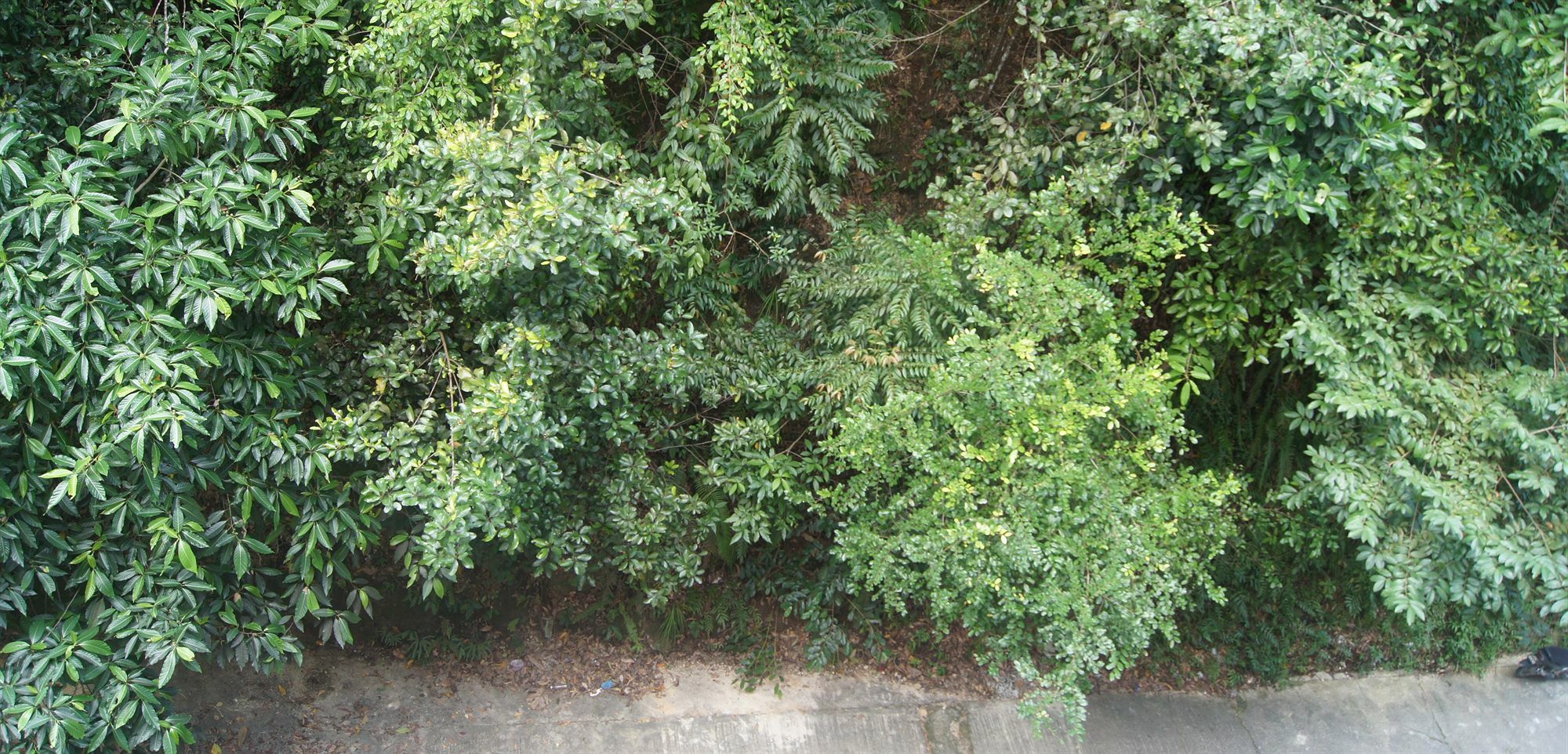 Hotel Hsiang Garden SDK Dış mekan fotoğraf